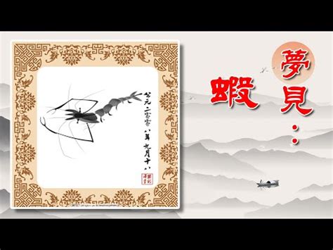 夢到蝦子號碼|夢見蝦子是什麼意思